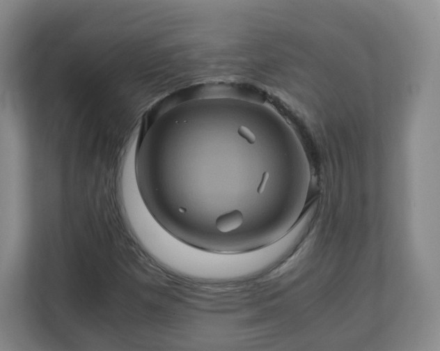 X0000110991257200906261442