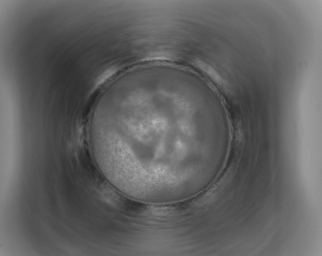 X0000110991258200906261442