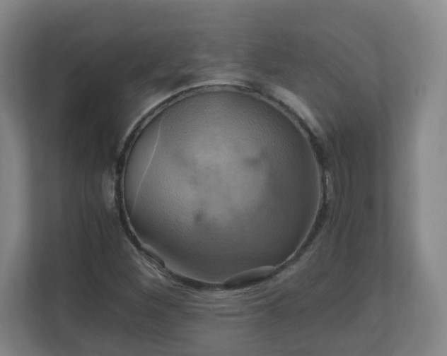 X0000110991260200906261442