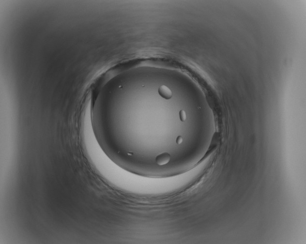 X0000110991261200906261442