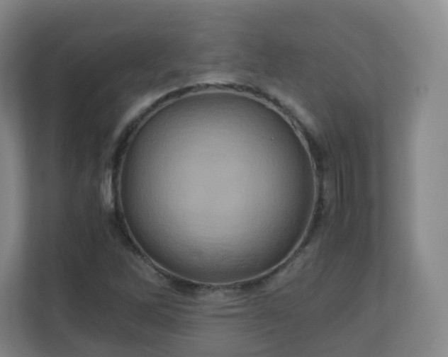 X0000110991262200906261442