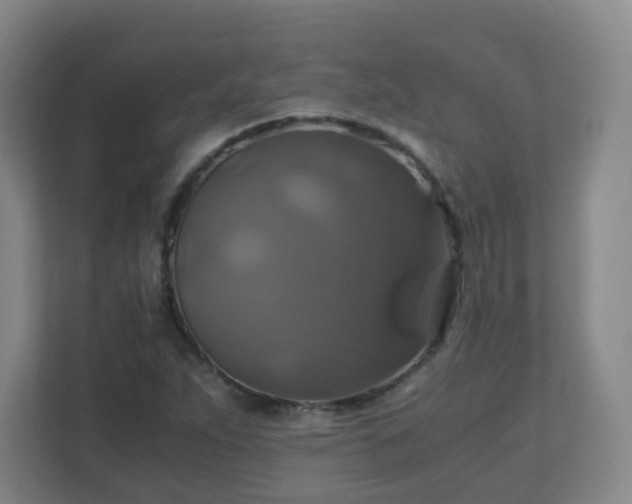 X0000110991263200906261442