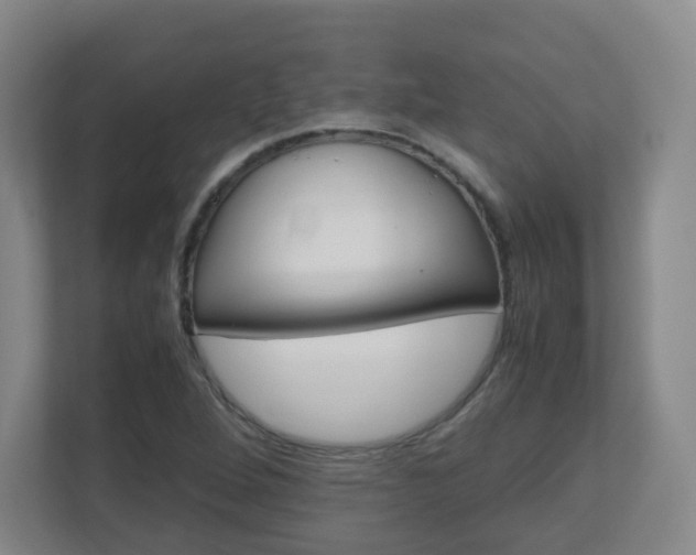 X0000110991264200906261442