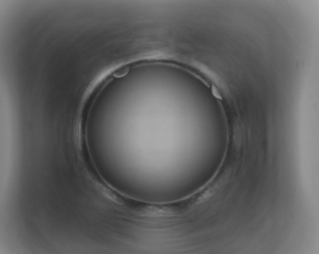 X0000110991270200906261442