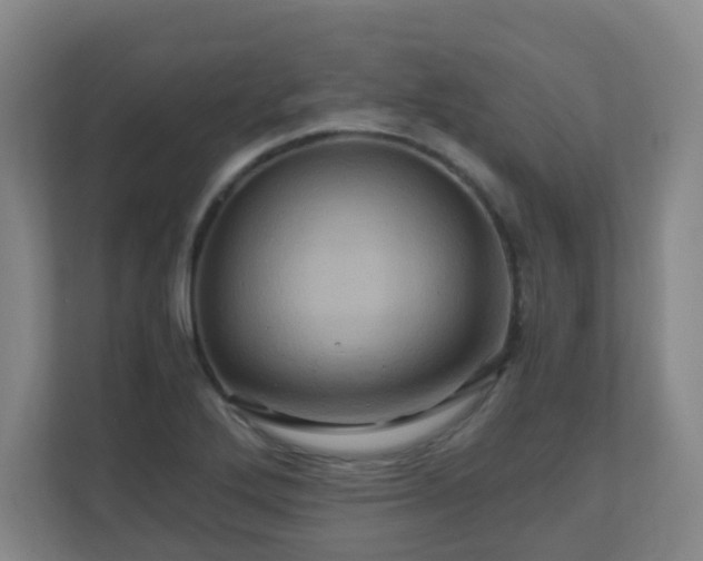 X0000110991272200906261442
