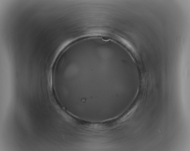X0000110991275200906261442