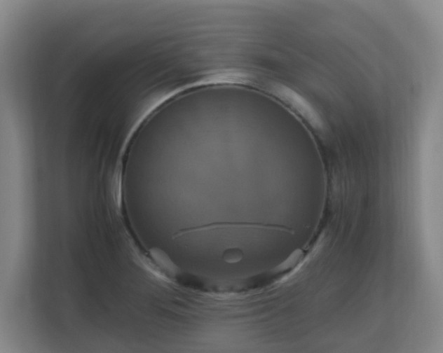 X0000110991276200906261442
