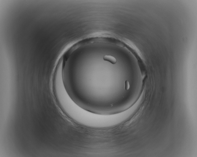 X0000110991277200906261442