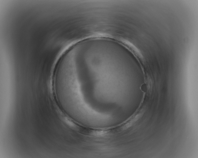 X0000110991278200906261442