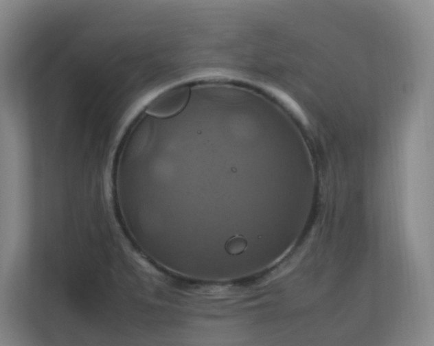 X0000110991279200906261442