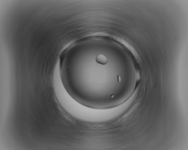 X0000110991281200906261442