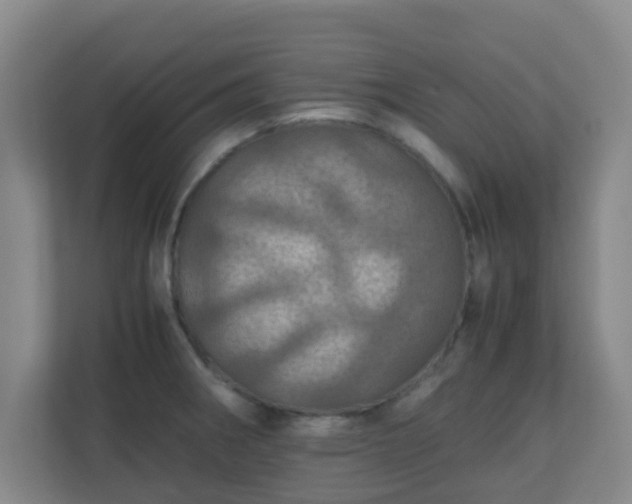 X0000110991282200906261442
