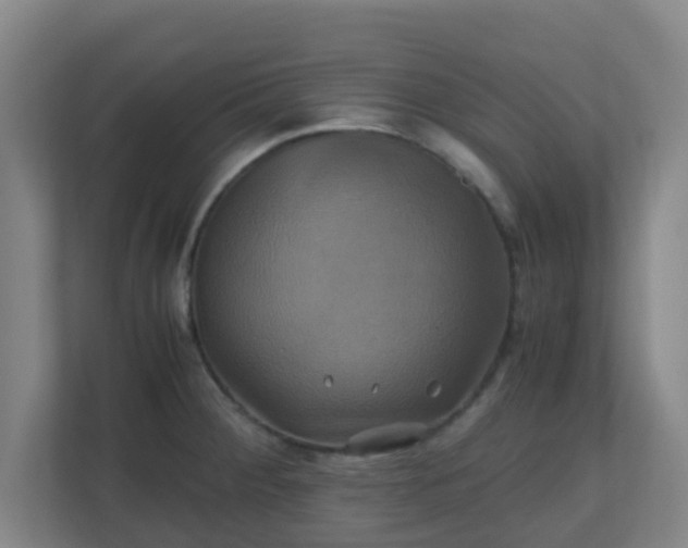 X0000110991284200906261442