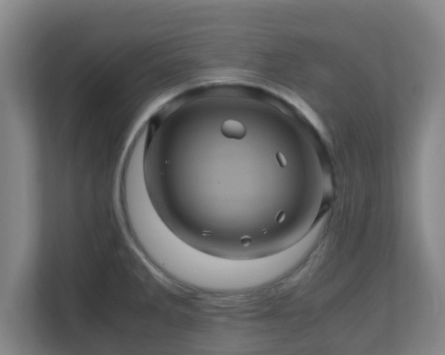 X0000110991285200906261442
