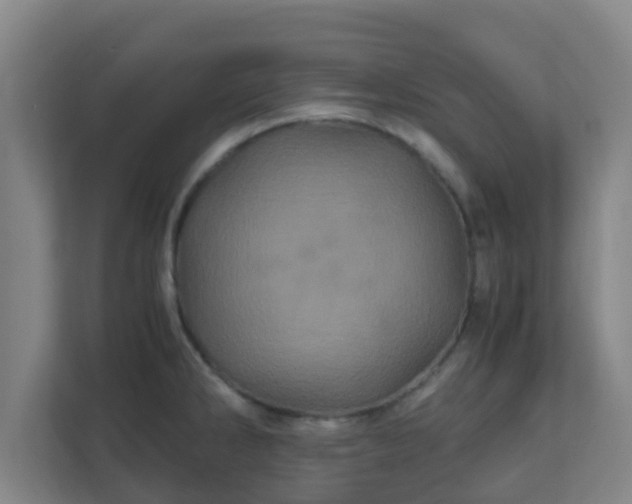 X0000110991286200906261442