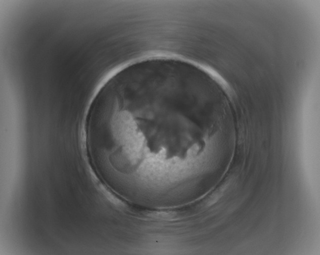 X0000110991287200906261442