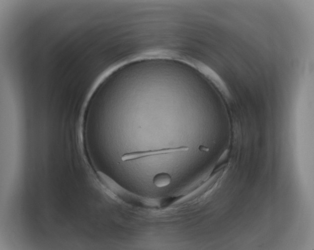 X0000110991288200906261442