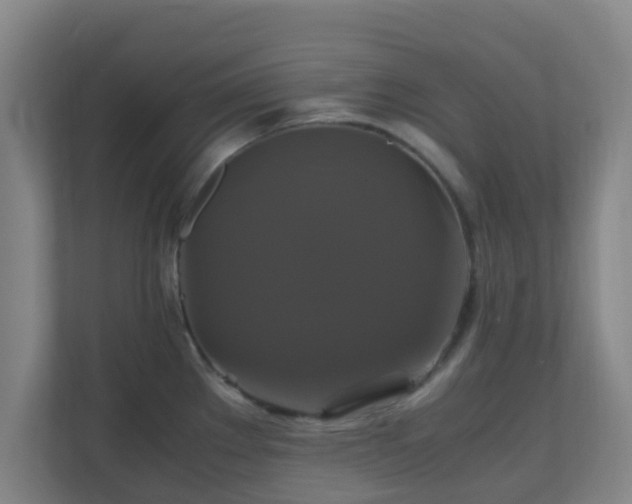 X0000110991289200906261442