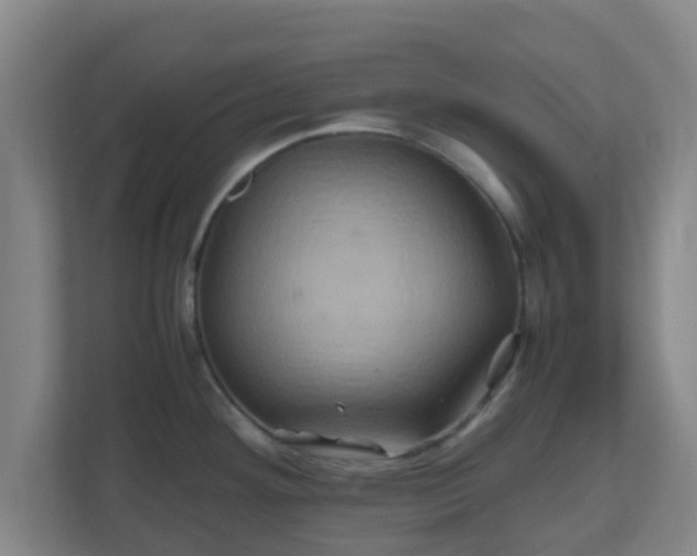 X0000110991292200906261442