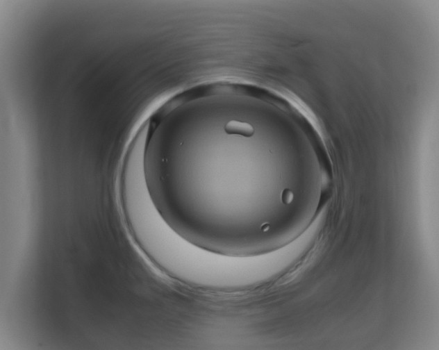 X0000110991293200906261442
