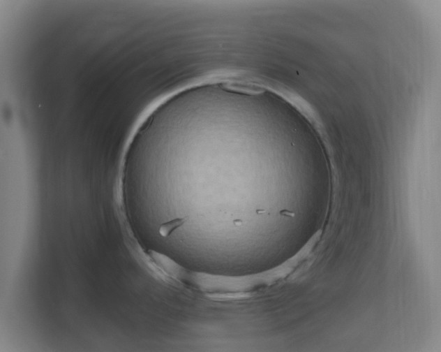 X0000110991296200906261442