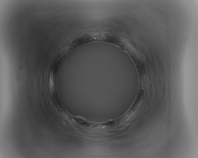 X0000110991298200906261441