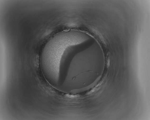 X0000110991301200906261441