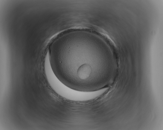 X0000110991304200906261441