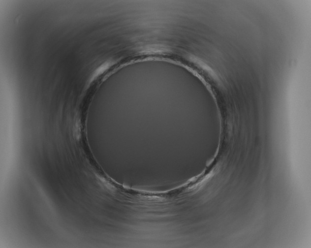 X0000110991306200906261441