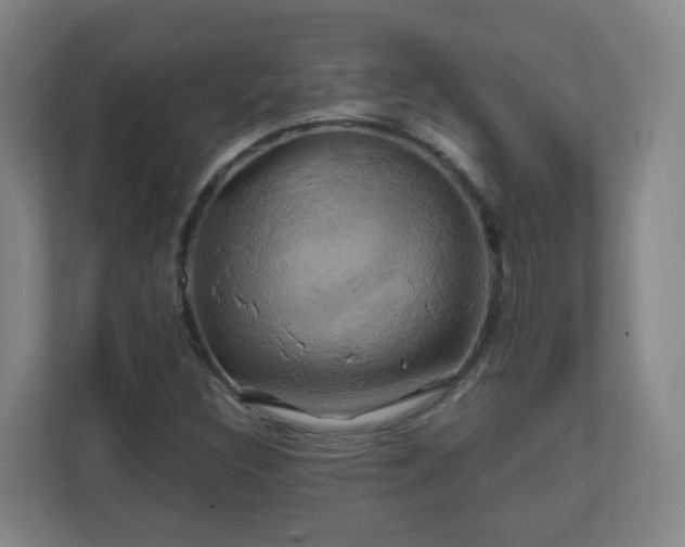 X0000110991308200906261441