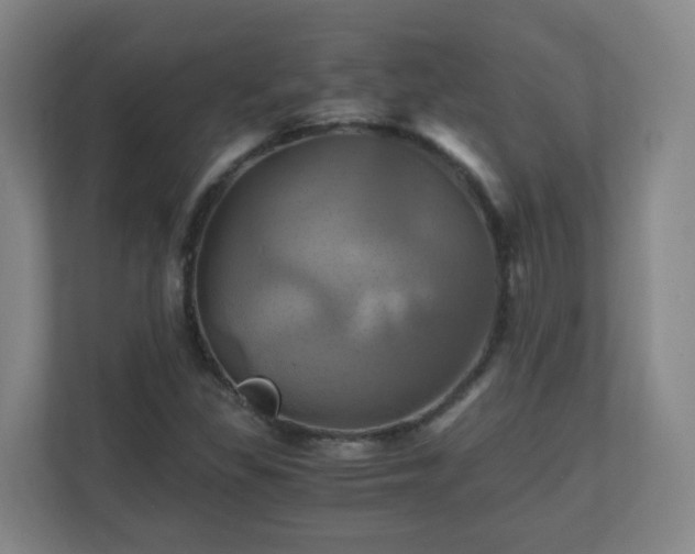 X0000110991309200906261441