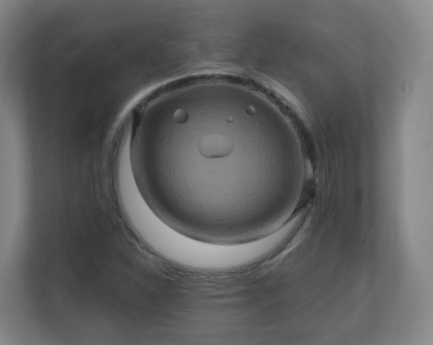 X0000110991310200906261441