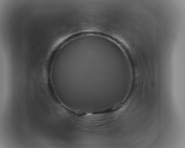 X0000110991311200906261441