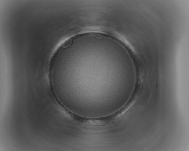 X0000110991312200906261441