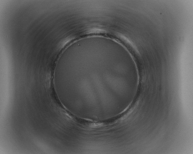 X0000110991313200906261441