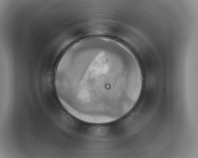 X0000110991314200906261441