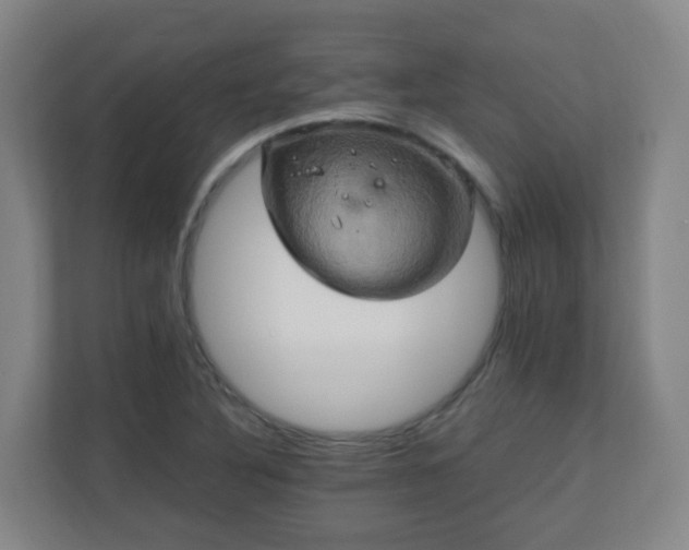 X0000110991316200906261441