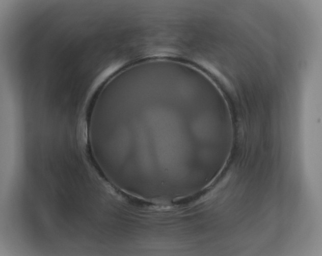X0000110991317200906261442