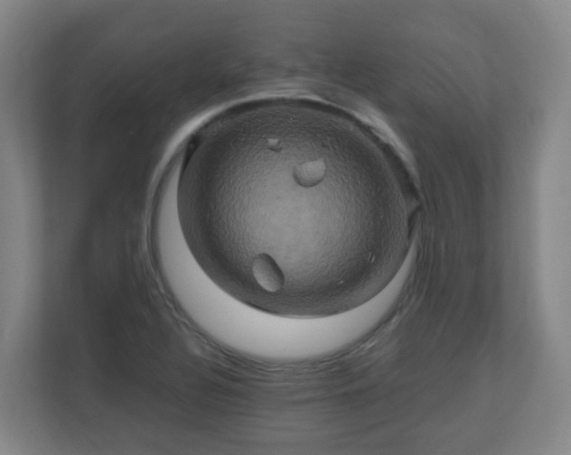 X0000110991320200906261442
