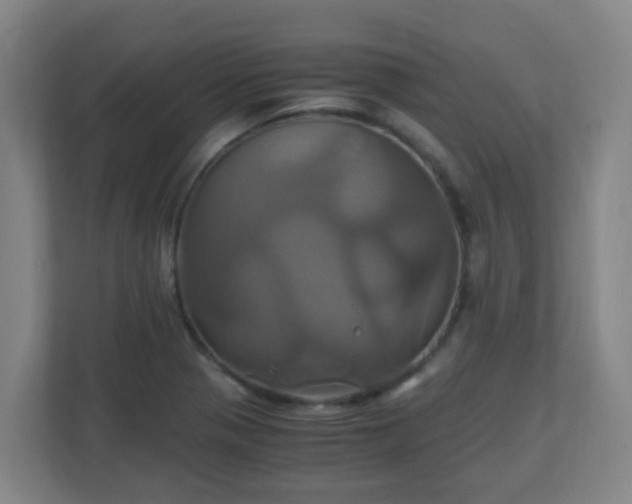 X0000110991321200906261442