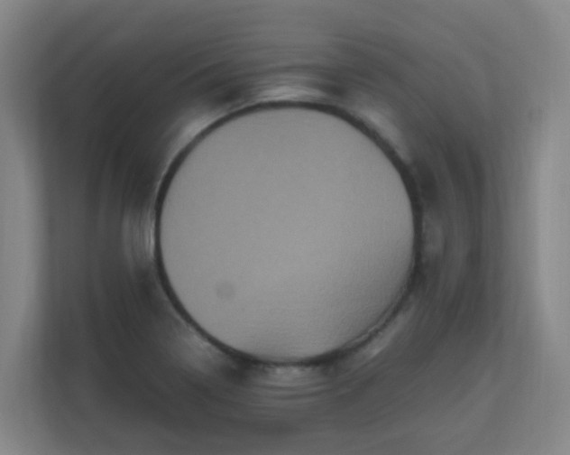 X0000110991322200906261442