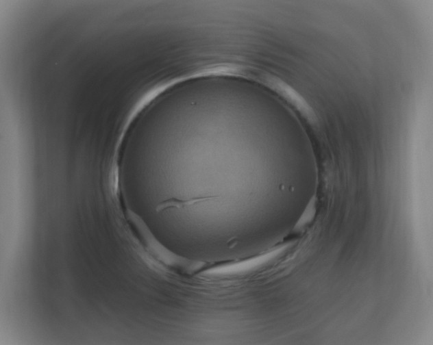 X0000110991324200906261442