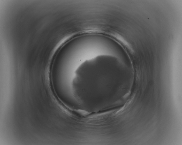 X0000110991325200906261442