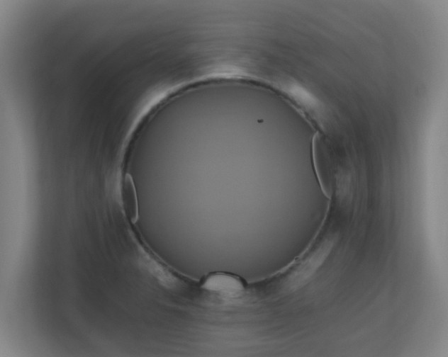 X0000110991326200906261442