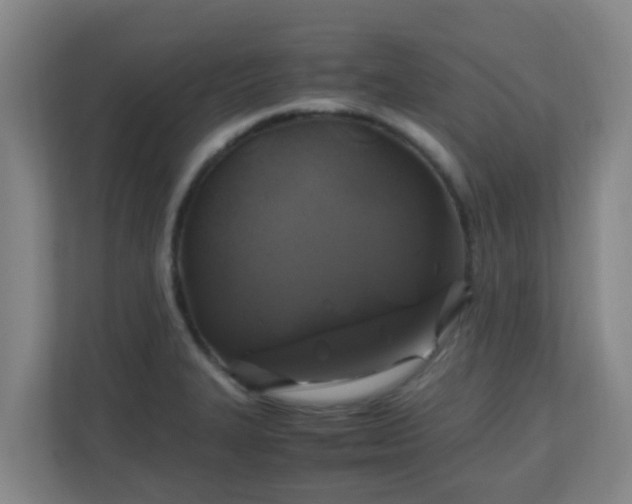 X0000110991327200906261442