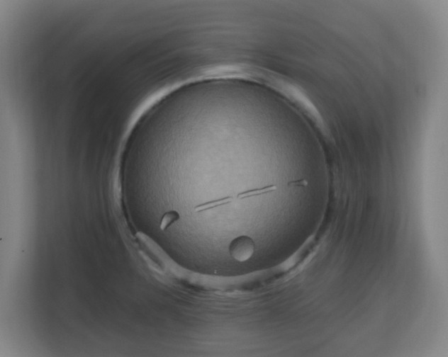 X0000110991328200906261442