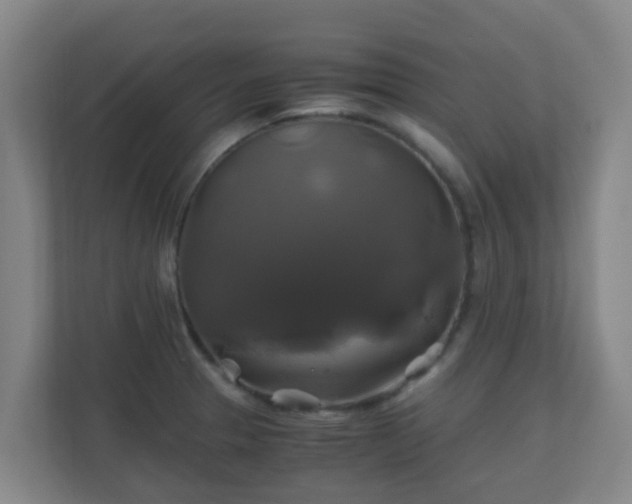 X0000110991329200906261442