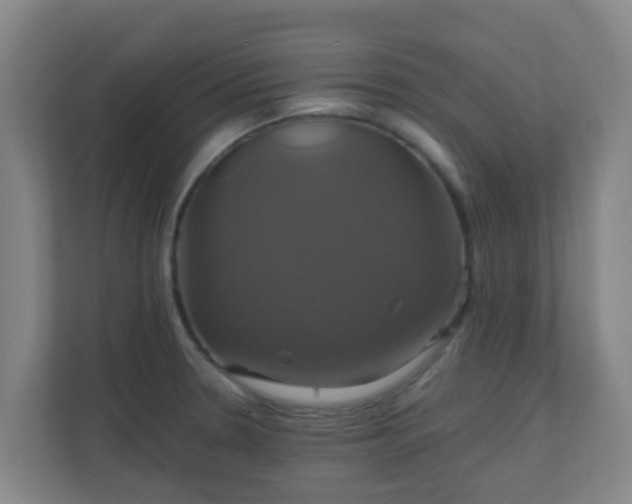 X0000110991330200906261442