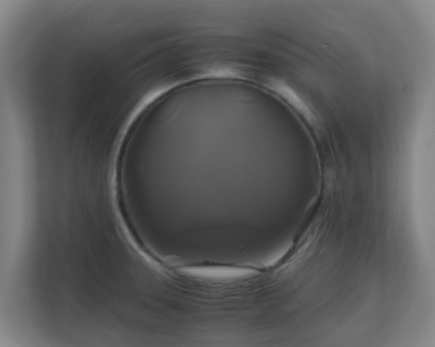 X0000110991331200906261442
