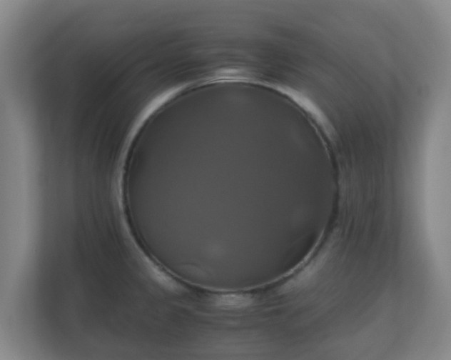 X0000110991333200906261442
